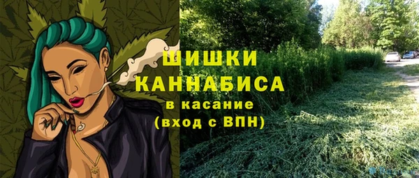 гидра Гусев