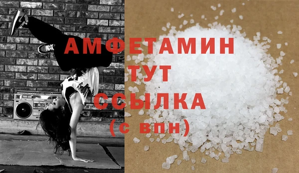 гидра Гусев