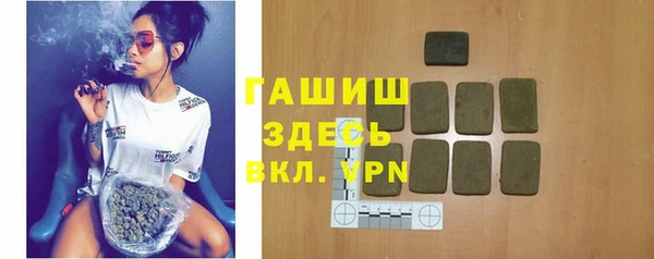 гидра Гусев