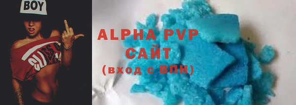 гидра Гусев