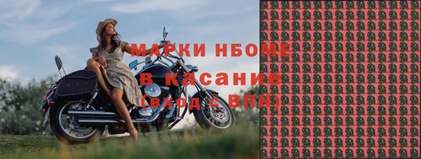 гидра Гусев