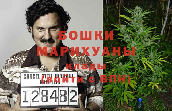 гидра Гусев
