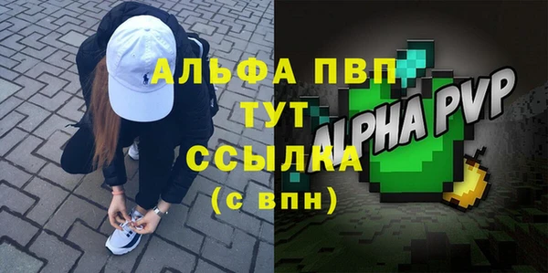 гидра Гусев