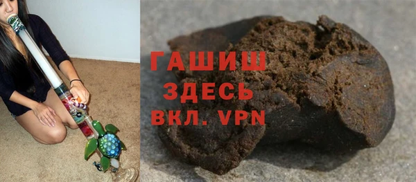 гидра Гусев