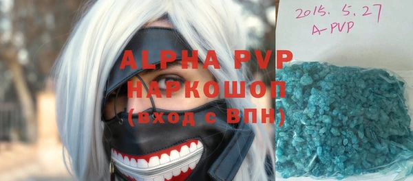 гидра Гусев