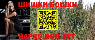 прущий лед Гусев
